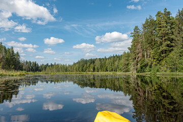 colorful summer landscape, paddle board in the lake, beautiful lake plants, trees on the shore,...