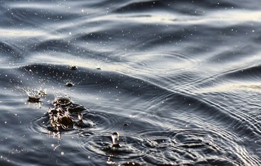 ripples on river