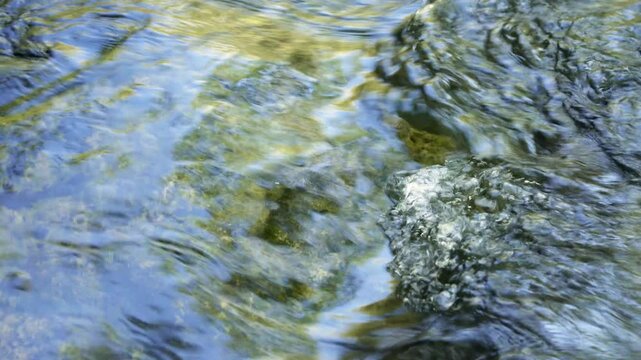 Mountain stream.Beautiful nature landscape natural, fresh river flows between trees in an eco environment. Scenery on adventure walks