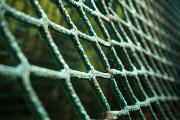 Interwoven Strength Net