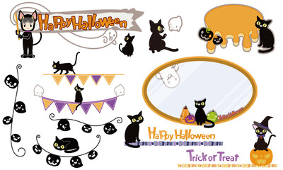 Black cat set no background