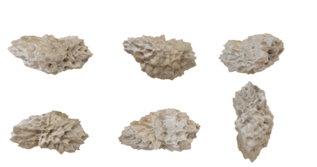 Set of six white coral pieces isolated on transparent background