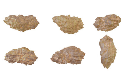 Collection of six fossilized ancient seeds isolated on transparent background