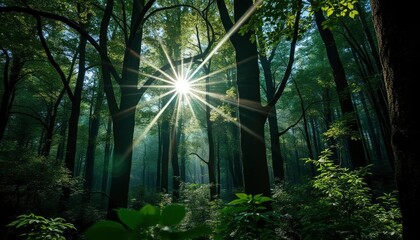 Forest mural wallpaper design art, ai