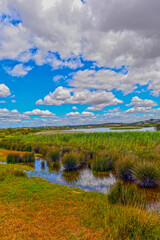 Lagoa dos Salgados in Guia-Albufeira/Algarve (Portugal)