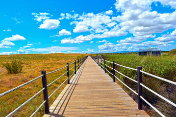 Obraz premium Wanderweg am Lagoa dos Salgados in Pêra/Algarve (Portugal)