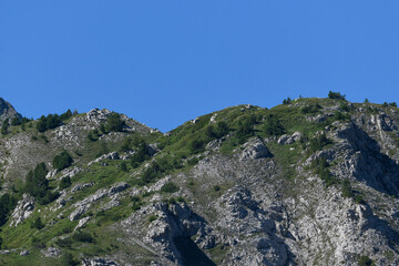 view of mountains in summer with plains and pine trees
