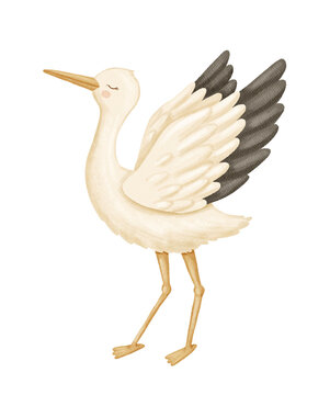 recommend clip art: Watercolor stork with wings raised up. Bird as symbol for baby shower, pregnancy. Cute hand drawn isolated illustration