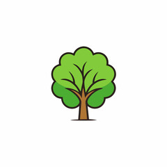 tree isolated on white