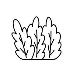 Obraz premium Bush isolated on a white background. Vector hand-drawn illustration in doodle style. Perfect for cards, decorations, logo, various designs.
