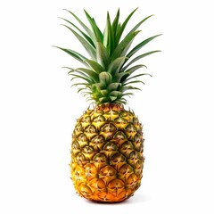 Fototapeta premium A Single Ripe Pineapple with Green Leaves Isolated on a White Background