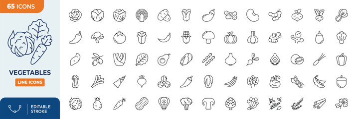 Vegetables line editable icon set. Contain icons related to tomato, mushroom, carrot, corn, eggplant, beetroot, potato, lettuce and more. Editable stroke. Vector illustration	