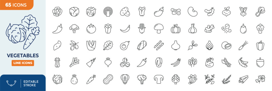 Vegetables line editable icon set. Contain icons related to tomato, mushroom, carrot, corn, eggplant, beetroot, potato, lettuce and more. Editable stroke. Vector illustration	