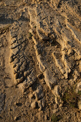 Macro view of natural texture of stone beach in Croatia, Adriatic Sea