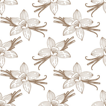 Aromatic spice pattern with vanilla flowers and pods