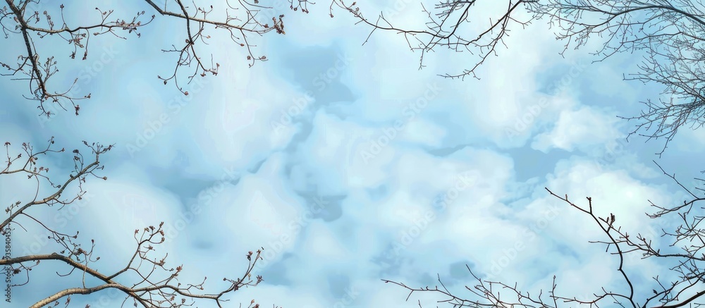 Aufkleber frame created by leafless tree branches against a blue cloudy sky background image featuring copyspa
