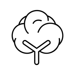 organic cotton ball