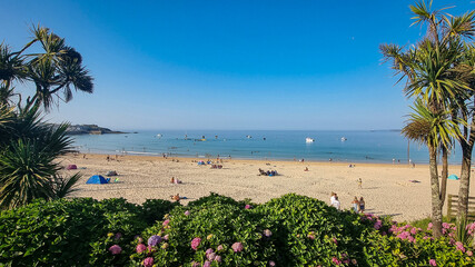 beach with palm trees