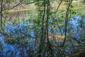 Lake in Espirito Santo state, Brazil