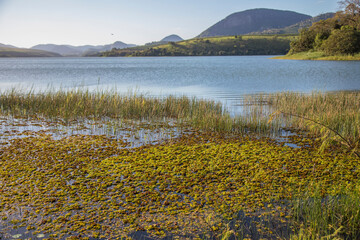 Lake in Espirito Santo state, Brazil