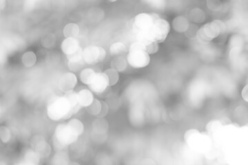 Obraz premium white blurred backdrop of nature, circle white wallpaper, gray bokeh background