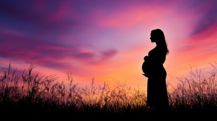 The silhouette of a pregnant woman amid a warm pastoral landscape is ethereal and ethereal