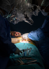 Surgeons who perform spinal cord surgery. Close up surgery team operating in modern hospital