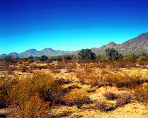 San Tan Mountains Sonora Desert Arizona