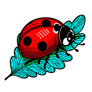 red ladybug on blue leaf clip art preview