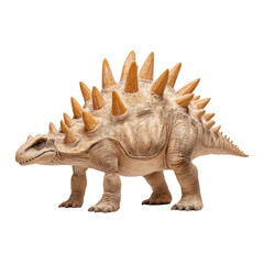 A detailed model of a stegosaurus isolated on a white background.