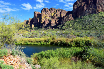 Salt River Recreation Area Arizona