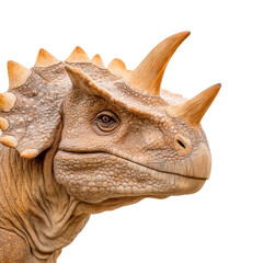 Fototapeta premium A dinosaur sculpture isolated on a white background.