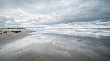 Obraz premium Desolate Beach at Low Tide with Reflective Wet Sand, Scattered Seashells, and Driftwood Along the Shoreline. AI generated illustration