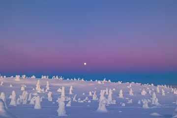 landscape with snow
