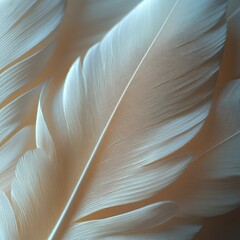 Soft feather background, providing a gentle and elegant backdrop for various designs. 