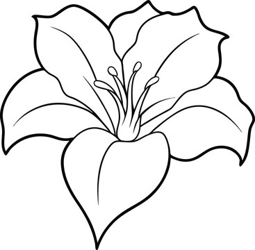black and white flower outline clip art preview