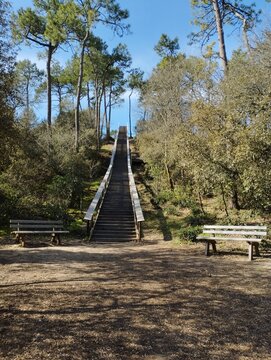 escalier de 184 marches au Pey de la Blet &agrave; St Jean de Mont
