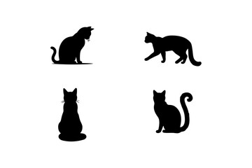 Silhouette of cats.