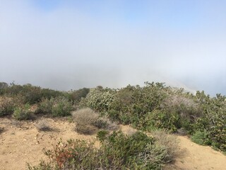 Fototapeta premium California Coastal Landscape with Fog Rolling Up near San Diego