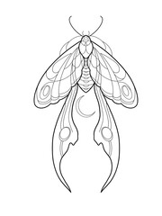 Moth Butterfly Tattoo Stencil T-shirt Print Vector