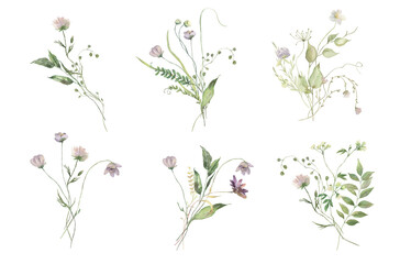 Watercolor Midsummer Field bouquets collection with hand painted delicate leaves, flowers. Romantic floral arrangements perfect for wedding greeting cards, invitation.
