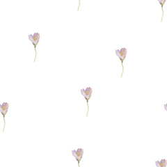 Seamless pattern with hand painted watercolor flowers. Delicate design for Summer textile design, scrapbook paper, decorations. Floral seamless pattern. 