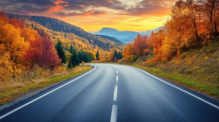Fototapeta premium Autumn Road Through Forest Landscape