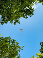 plane in the sky with trees