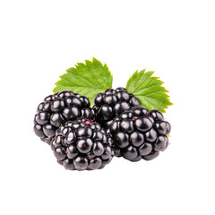 Close-up of Fresh Blackberries with Green Leaves