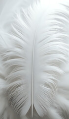 Close up of a white colored feather background texture illustration. AI Generated