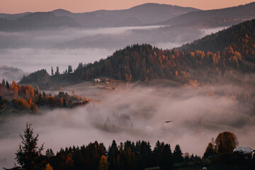 Serene Morning Mist Over Mountainous Landscape