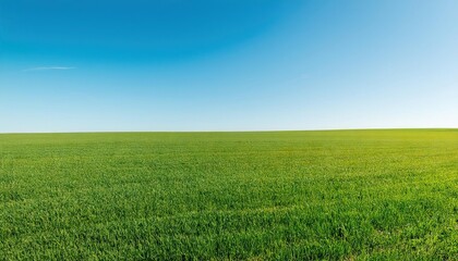 Obraz premium Field of lush green grass with a clear blue sky in the background