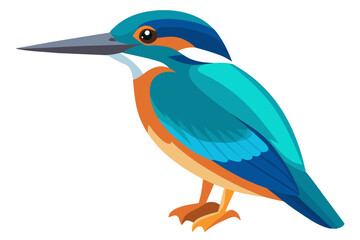 common kingfisher bird vector art illustration