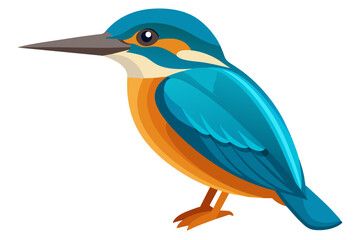 common kingfisher bird vector art illustration